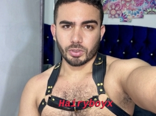 Hairyboyx