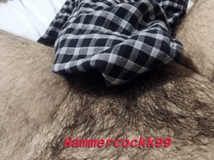 Hammercockk99