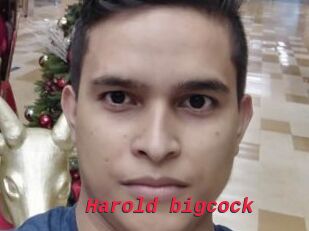 Harold_bigcock