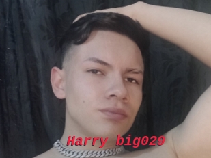 Harry_big029