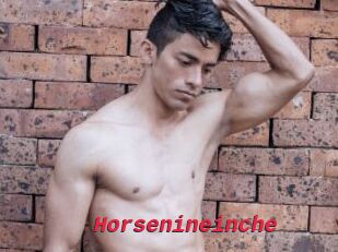 Horsenineinche
