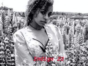 Indigo_22
