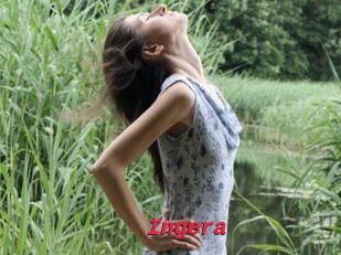 Ingera