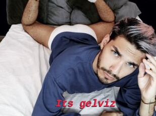 Its_gelviz