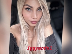 Iggymodel