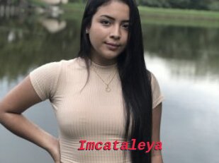 Imcataleya