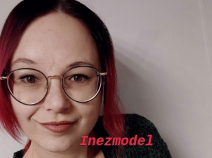 Inezmodel
