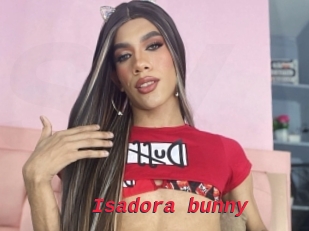 Isadora_bunny