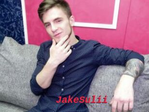 JakeSulii