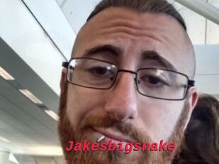 Jakesbigsnake