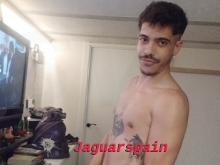 Jaguarspain
