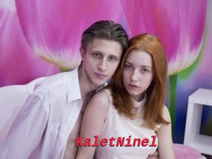 KaletNinel