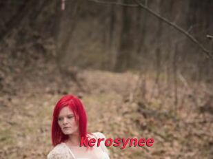 Kerosynee