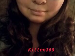 Kitten369