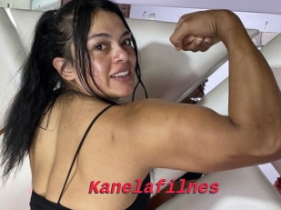 Kanelafilnes