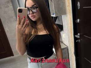Karinamikus