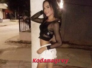 Kodamagrey