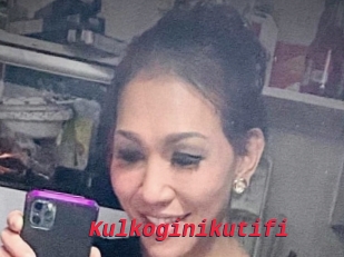 Kulkoginikutifi