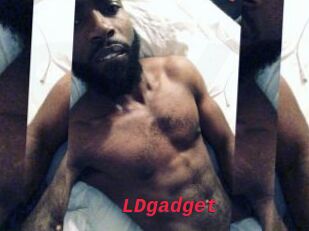 LDgadget