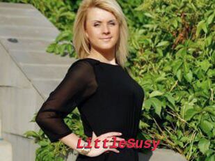 LittleSusy