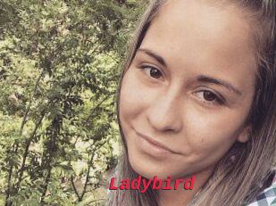 Ladybird