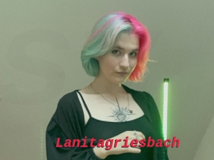 Lanitagriesbach