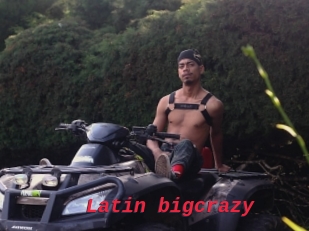 Latin_bigcrazy