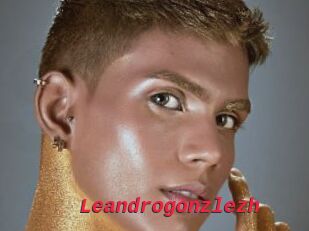 Leandrogonzlezh