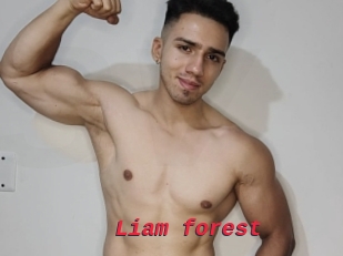 Liam_forest