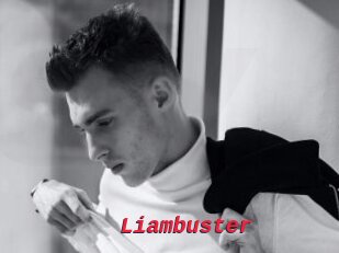 Liambuster