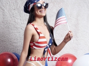 Liaortizcam