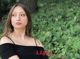 Ligea