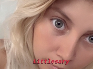 Littlesary