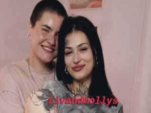 Livandmollys