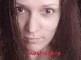 Mandragora