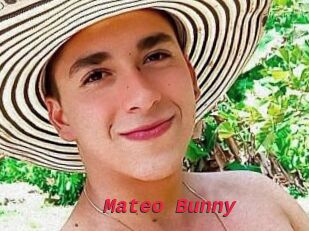 Mateo_Bunny