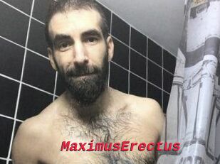 MaximusErectus