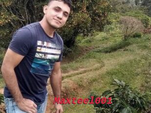Maxteel001
