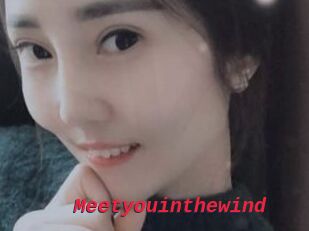 Meetyouinthewind