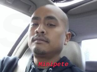 Minipete