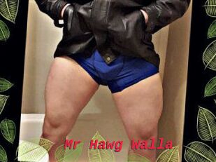 Mr_Hawg_Walla