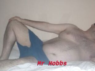 Mr_Hobbs