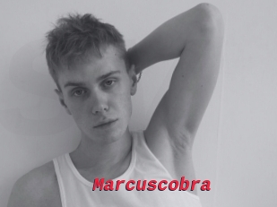 Marcuscobra