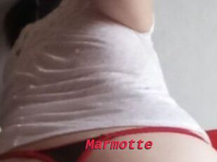Marmotte