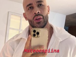 Mateoospiina