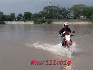 Maurillobig
