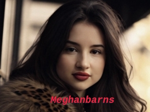 Meghanbarns