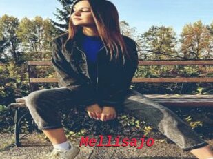 Mellisajo