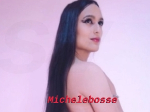 Michelebosse