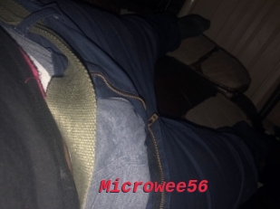 Microwee56
